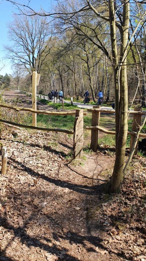 B&B Sagenland Harbrinkhoek Bagian luar foto
